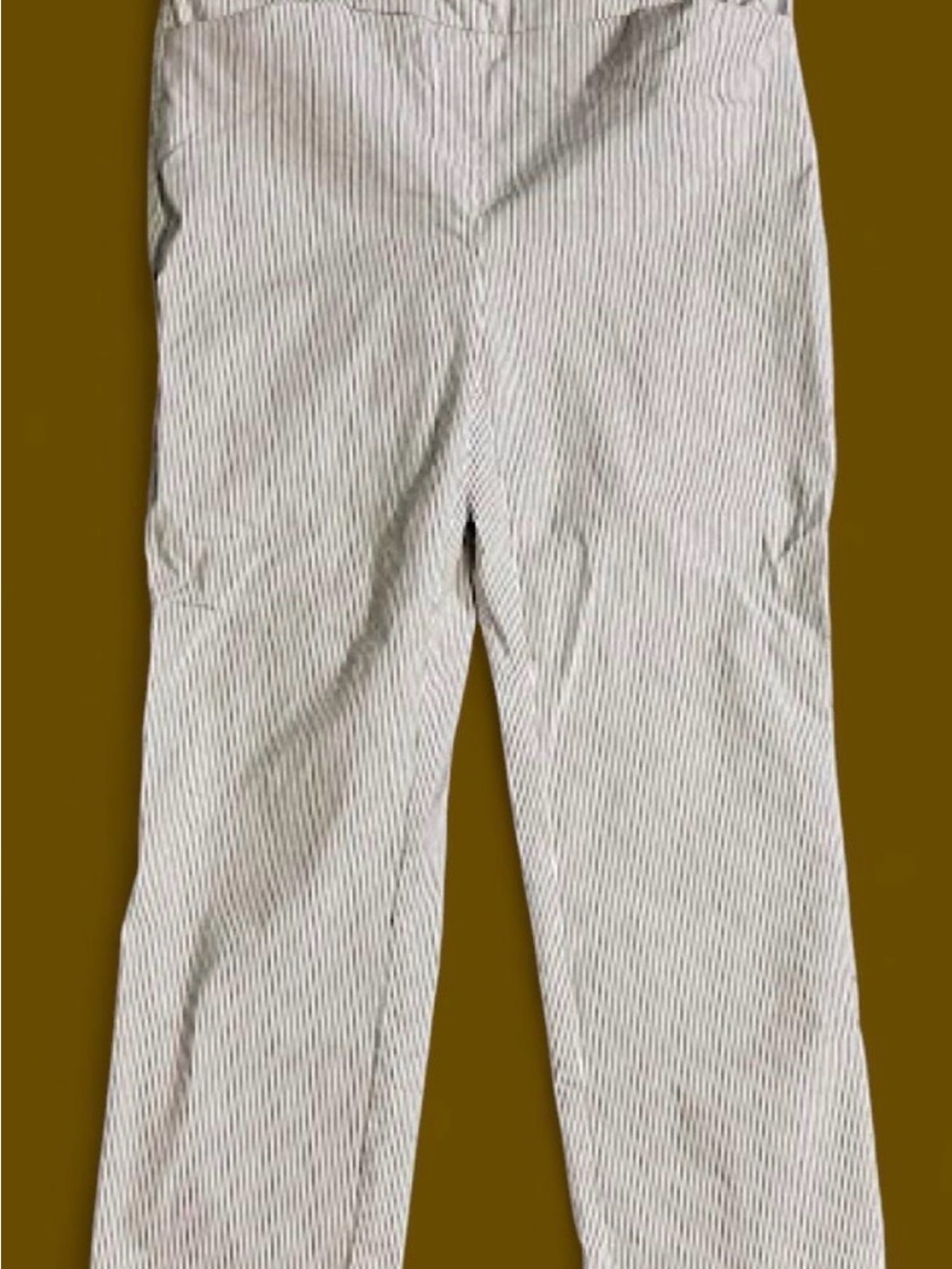 Hilary Radley Navy and White Pinstripe Cropped Pants